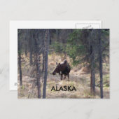 carte postale (Devant / Derrière)