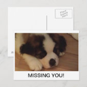 Carte postale (Devant / Derrière)