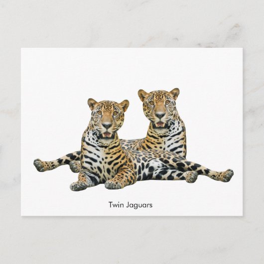 Carte postale (Devant)