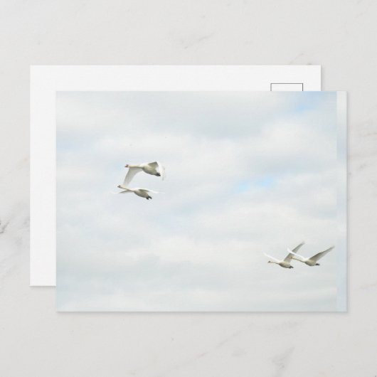 Carte postale (Devant / Derrière)