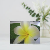 Carte postale (Debout devant)