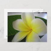 Carte postale (Devant / Derrière)