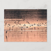 Carte postale (Devant)