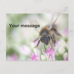 Carte postale
