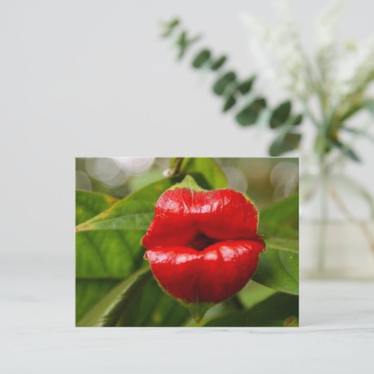 Carte postale (Debout devant)