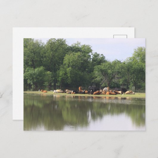 Carte postale (Devant / Derrière)