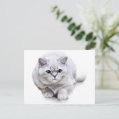 Carte Postale С à la race British Shorthair (Debout devant)
