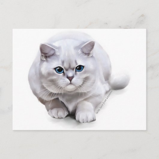 Carte Postale С à la race British Shorthair (Devant)