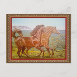 Carte Postale л о ш а д и н а Б DE а