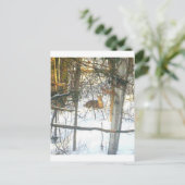 Carte Postale ḯ ґ ℯ ✐ ♏ ℯ ℴ ti α (Debout devant)