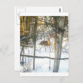 Carte Postale ḯ ґ ℯ ✐ ♏ ℯ ℴ ti α (Devant / Derrière)