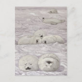 CARTE POSTALE アザラシ四季シリーズ　冬 (Devant)