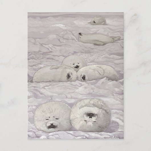 CARTE POSTALE アザラシ四季シリーズ 冬 (Devant)