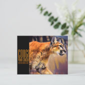 CARTE POSTALE クーガー (Debout devant)