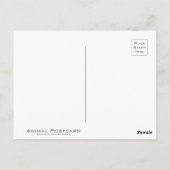 CARTE POSTALE クーガー (Dos)