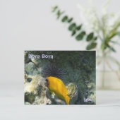 CARTE POSTALE ニ 熱 魚 (Debout devant)