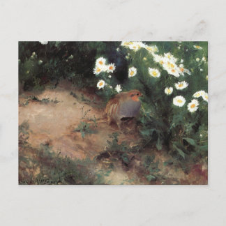 CARTE POSTALE ヒ ナ ギ ク マ と ヤ ズ ラ