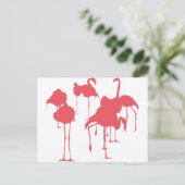 CARTE POSTALE フ ン (Debout devant)