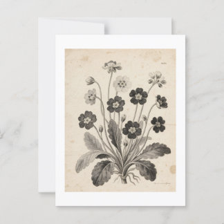 CARTE POSTALE ポストカード