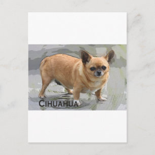 Carte Postale ワ Chihuahuacrime ワ ч и х х у а de de de