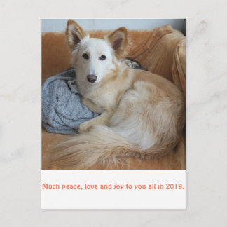 Carte Postale ワ OEuvre ミ ク  ド 雪 ド 2019