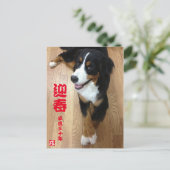 Carte Postale ー ズ マ ニ ー   de  2018 (Debout devant)