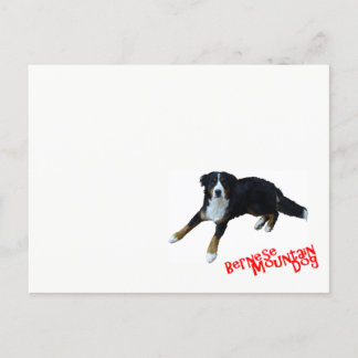 CARTE POSTALE ー ニ ズ マ ー ン ン テ 