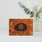 CARTE POSTALE 世 樹 界 (Debout devant)