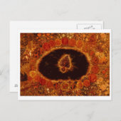 CARTE POSTALE 世 樹 界 (Devant / Derrière)