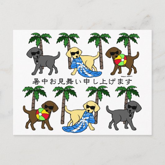 Carte Postale 暑 中 見 舞 い Labradorsの 涼  (Devant)