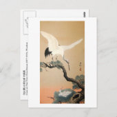 Carte Postale 松 に 鶴, 邨 grue 古 sur Pine Tree, Koson, Ukiyo-e (Devant / Derrière)