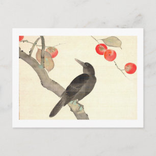 Carte Postale 柿 に 烏, 抱 Persimmon et Crow, Hōitsu