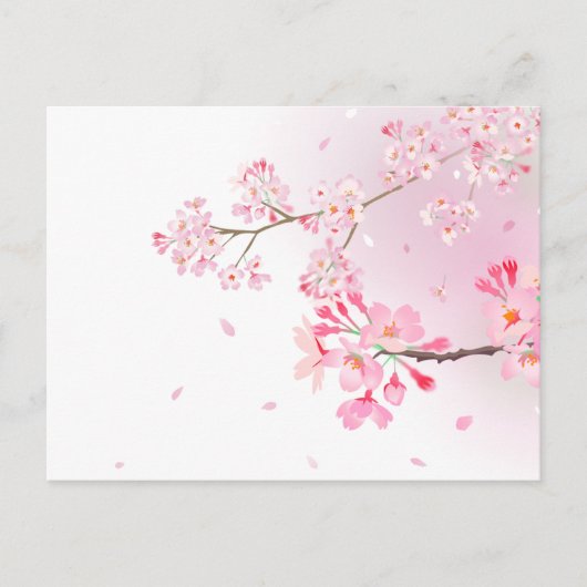 CARTE POSTALE 桜の花びらが舞う和風ポストカード*春のご挨拶・季節の便りに (Devant)