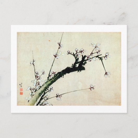 Carte Postale 梅 花, 北 Fleurs 斎 de prunes, Hokusai, Ukiyo-e (Devant)