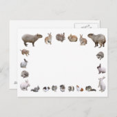 CARTE POSTALE 様 々 な 小 動 物 (Devant / Derrière)