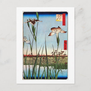 Carte Postale 江戸の菖蒲, 広重 Iris of Edo, Hiroshige