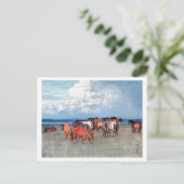 Carte Postale 沼 崎 場, Chevaux, Hiroshi Yoshida, Bois (Debout devant)