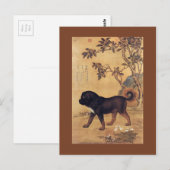Carte Postale 猊 苍 Cangni ~ Mastiff Tibétain ~Giuseppe Castiglion (Devant / Derrière)
