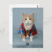 CARTE POSTALE 猫 (Devant / Derrière)