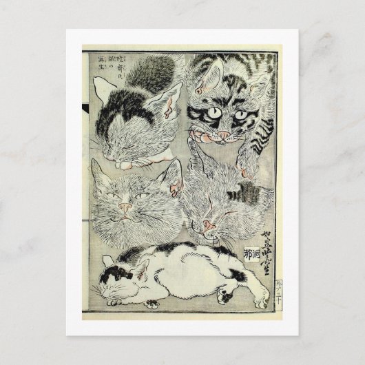 Carte Postale 猫, 暁 斎 Chats, Kyōsai, Ukiyo-e (Devant)