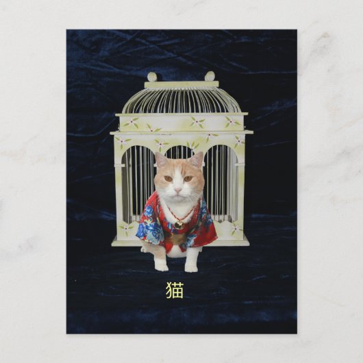 Carte Postale 猫 Chat chanceux (Devant)