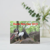 CARTE POSTALE 花 音2019年 賀 状 (Debout devant)