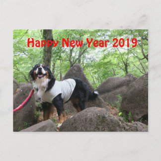 CARTE POSTALE 花 音2019年 賀 状