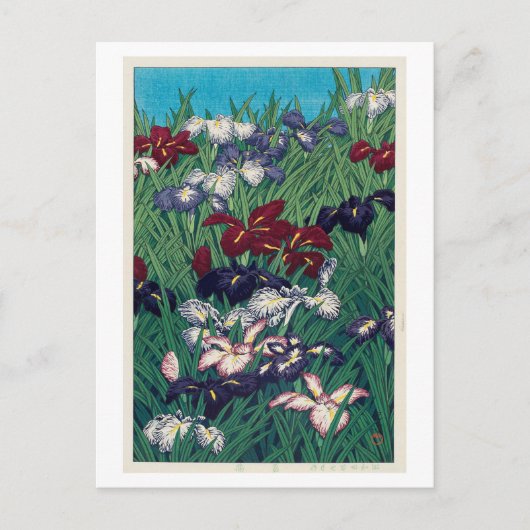 Carte Postale 菖 蒲, Iris, Hasui Kawase, Woodcut (Devant)