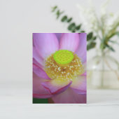 CARTE POSTALE 蓮 (Debout devant)