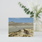 CARTE POSTALE 虎 (Debout devant)