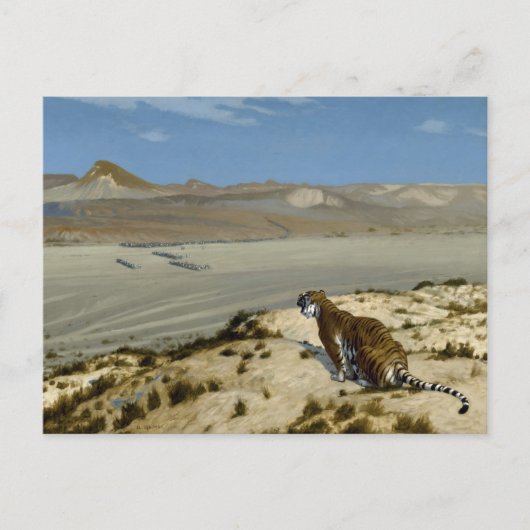 CARTE POSTALE 虎 (Devant)