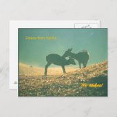 Carte Postale 鹿 nara (Devant / Derrière)