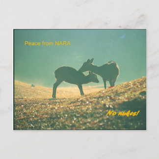 Carte Postale 鹿 nara