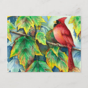 Carte Postale 0004 CardinalPostcard